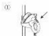 PANASONIC NI-GSD051 - Handling method of the remained - 2