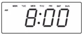 MON TUE WED THU FRI SAT SUN AM 8:00