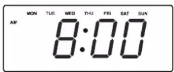 MON TUE WED THU FRI SAT SUN AM 8:00