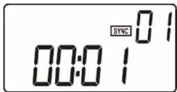 SYNC 01 00:01