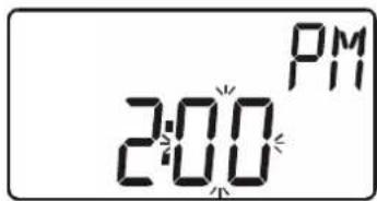 PM 2:00