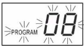 PROGRAM 08