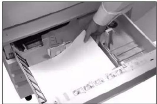 XEROX CopyCentre 175 - Loading Paper - 2