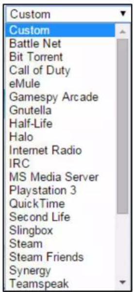 Custom Custom Battle Net Bit Torrent Call of Duty eMule Gamespy Arcade Gnutella Half-Life Halo Internet Radio IRC MS Media Server Playstation 3 QuickTime Second Life Slingbox Steam Steam Friends Synergy Teamspeak