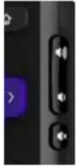 Element E4AA65R - Roku TV remote - 13
