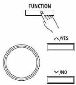 FUNCTION ^/YES ^/NO