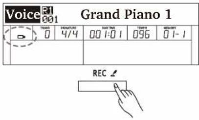 Voice R1 Grand Piano 1 0 4/4 00 1:0 096 01-1 REC