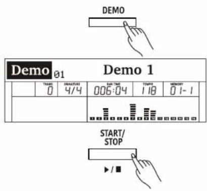 DEMO Demo 01 Demo 1 TAB TIME TEMPS MEMORY 0 4/4 006:04 118 01-1 START/ STOP ▶ / ■