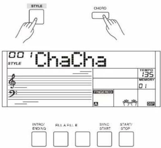 STYLE CHORD 00 'ChaCha STYLE TEMPD 135 MEMORY 01 FINGERED DSP INTRO/ ENDING FILL A FILL B SYNC START START/ STOP