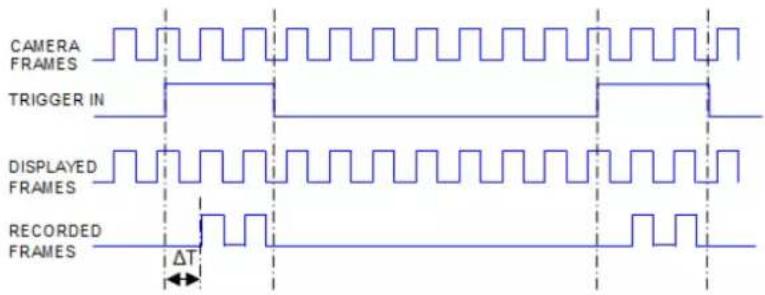 CAMERA FRAMES TRIGGER IN DISPLAYED FRAMES RECORDED FRAMES ΔT