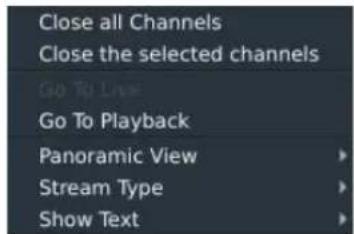 Close all Channels Close the selected channels Go To Live Go To Playback Panoramic View Stream Type Show Text