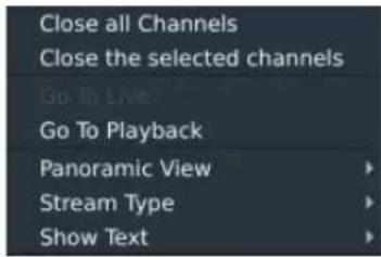 Close all Channels Close the selected channels Go To Live Go To Playback Panoramic View Stream Type Show Text