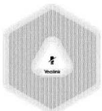 Yealink VC120 - VCM30 Package - 1