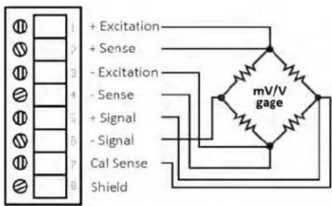 1 2 3 4 5 6 7 8 + Excitation + Sense - Excitation - Sense + Signal - Signal Cal Sense Shield mV/V gage