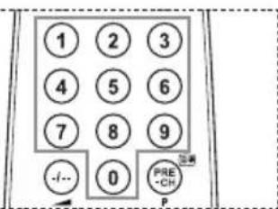 1 2 3 4 5 6 7 8 9 -/- 0 PRE-CH P