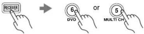 RECEIVER 6 or DVD 5 MULTI CH