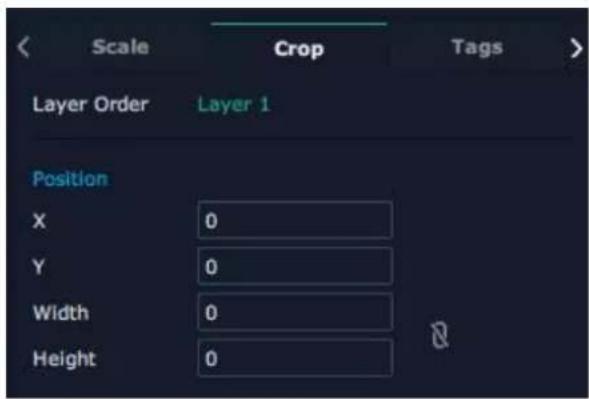 Scale Crop Tags Layer Order Layer 1 Position X 0 Y 0 Width 0 Height 0