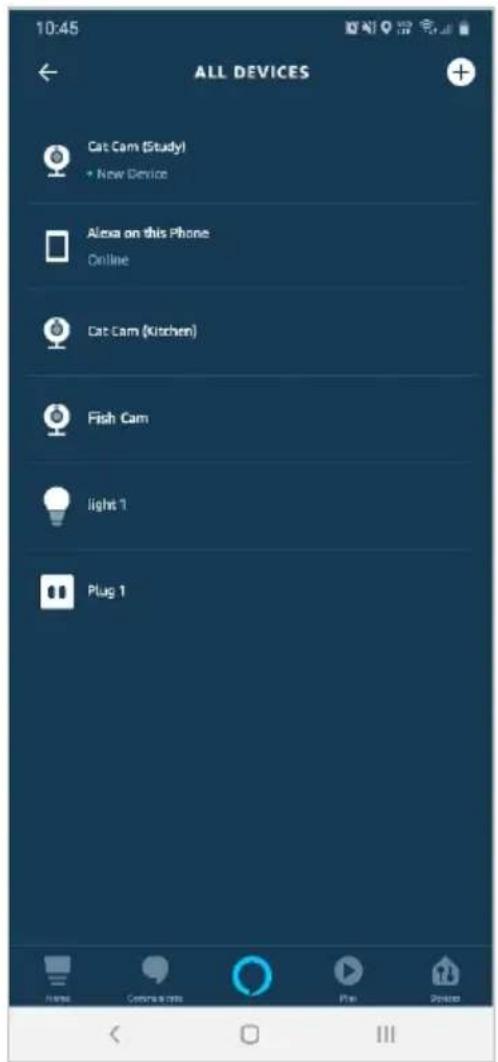 10:45 ALL DEVICES Cat Cam (Study) • New Device Alexa on this Phone Online Cat Cam (Kitchen) Fish Cam light 1 Plug 1