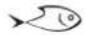 Artusi ACM45X - RECIPES - 4