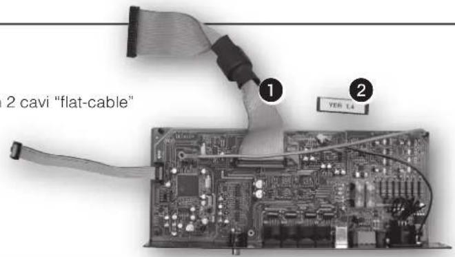RCF DPS 6202 - Contenuto: - 1