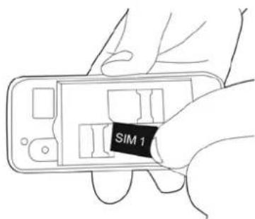 SIM 1