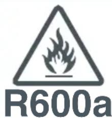 R600a