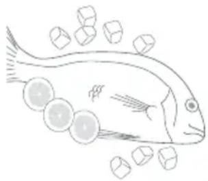 Fisher & Paykel E210RWH - Fish - 1