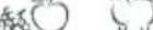 Fisher & Paykel E210RWH - Recommended freezer storage times - 9