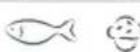 Fisher & Paykel E210RWH - Recommended freezer storage times - 4