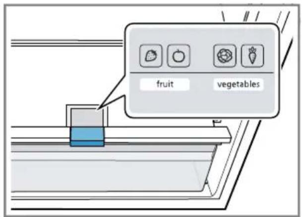 fruit vegetables