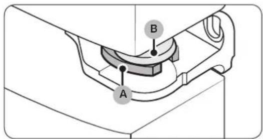 A B