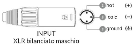INPUT XLR bilanciato maschio 1 ground (+) 3 cold (-) 2 hot
