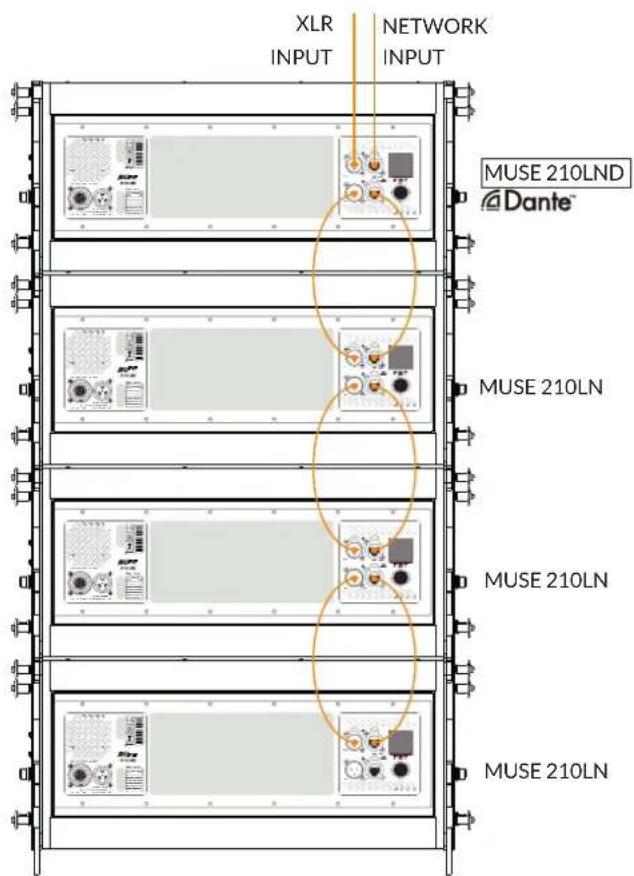 XLR INPUT NETWORK INPUT MUSE 210LND Dante™ MUSE 210LN MUSE 210LN MUSE 210LN