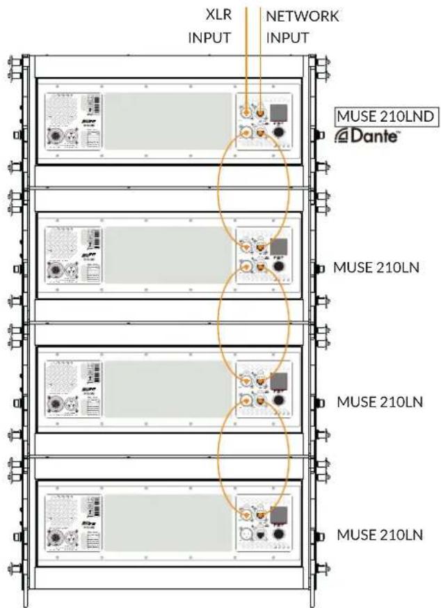 XLR INPUT NETWORK INPUT MUSE 210LND Dante™ MUSE 210LN MUSE 210LN MUSE 210LN