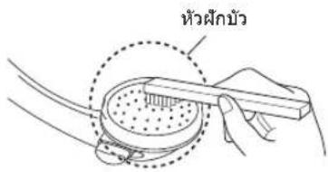 หัวฝึกน้ํา