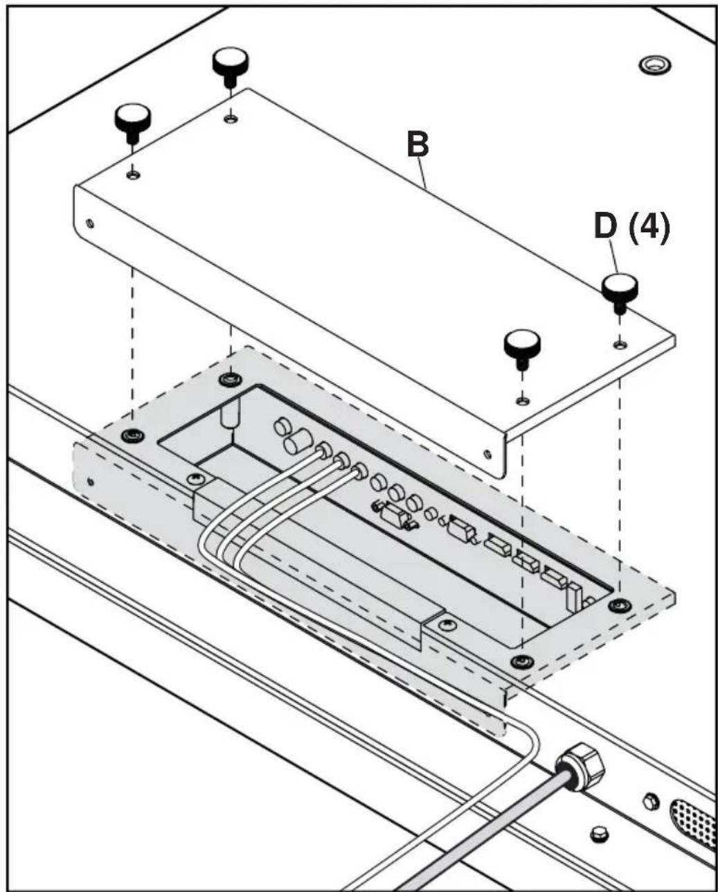 B D (4)