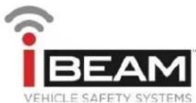 iBEAM TE-DGH - Replacement Tailgate Handle with Camera - 4