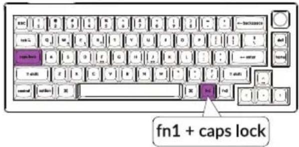 fn1 + caps lock