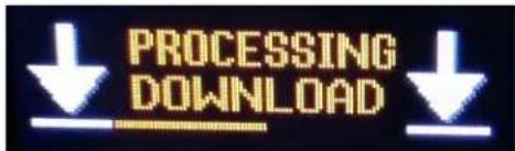PROCESSING DOWNLOAD