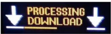 PROCESSING DOWNLOAD