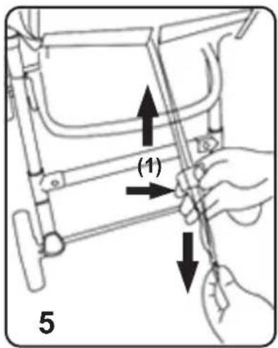 (1) 5