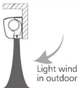 Light wind in outdoor