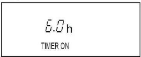 8.0 h TIMER ON