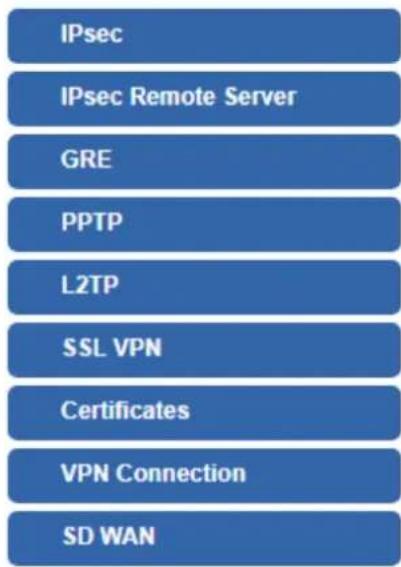 IPsec IPsec Remote Server GRE PPTP L2TP SSL VPN Certificates VPN Connection SD WAN