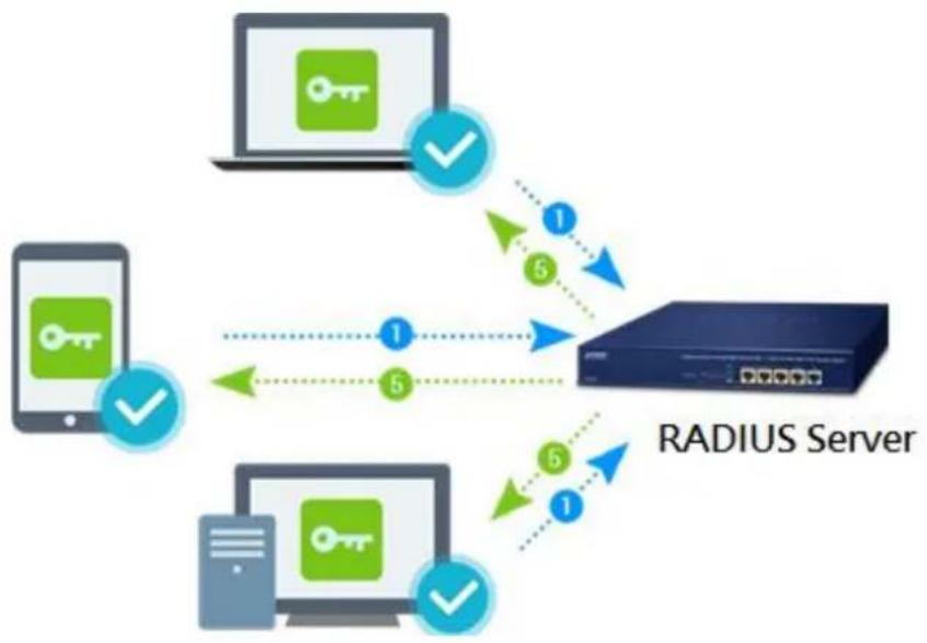 Planet IVR-300FP - RADIUS - 1