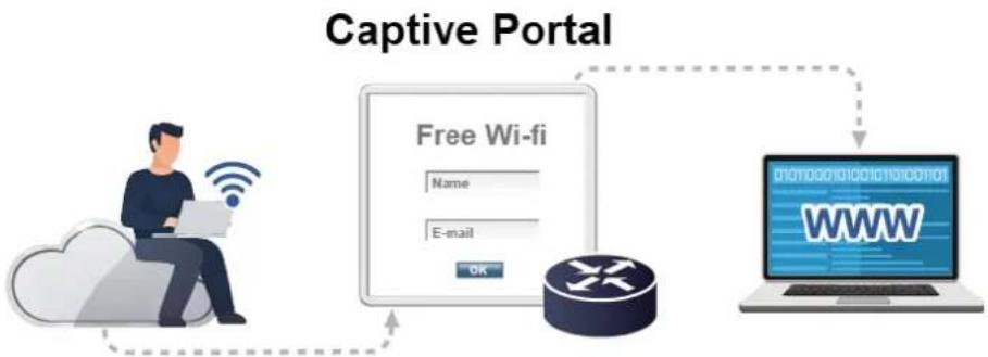 Planet IVR-300FP - Wi-Fi Deployments and Authentication with Simplified Management (for IVR-300 Series) - 1