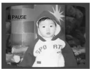 MA PAUSE SP0 RT