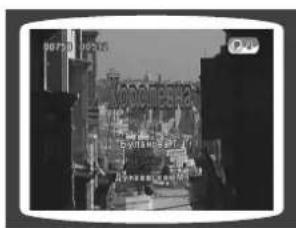Street photo with visible store signboards and building signage in Chinese