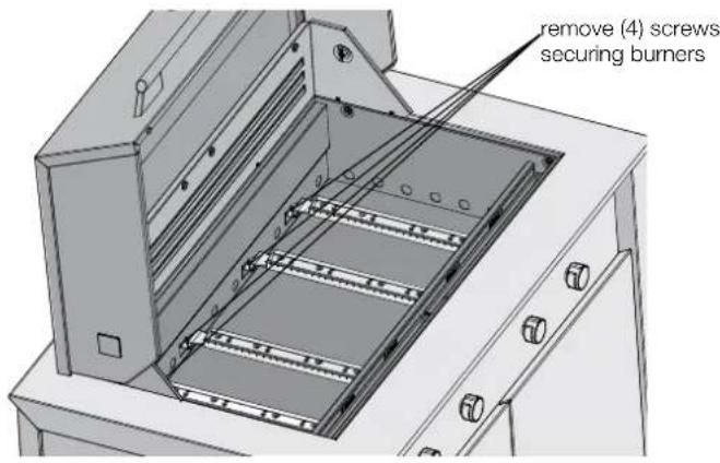 remove (4) screws securing burners