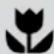 ELECTROLUX E:Volution EQBM75LAS - tips and information - 1